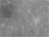 Три светлых кратера, внизу Гиппарх C (17 км), выше и левее Гиппарх G (15 км) и еще выше Пикеринг (15 км).